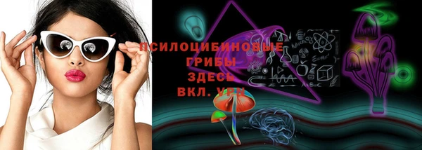 ГАЛЛЮЦИНОГЕННЫЕ ГРИБЫ Аркадак