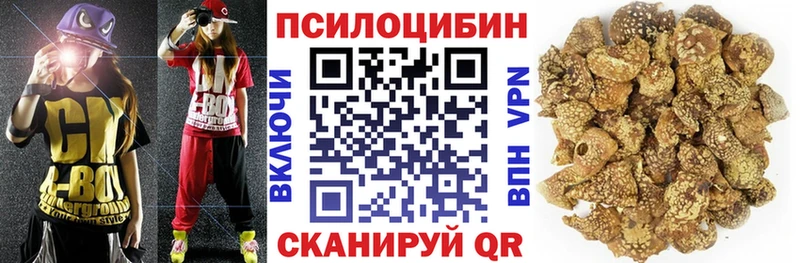 закладки  Артёмовский  Псилоцибиновые грибы Psilocybe 